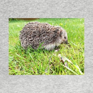 In the grass T-Shirt